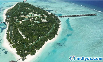 蜜月岛|美禄岛 Meeru Island