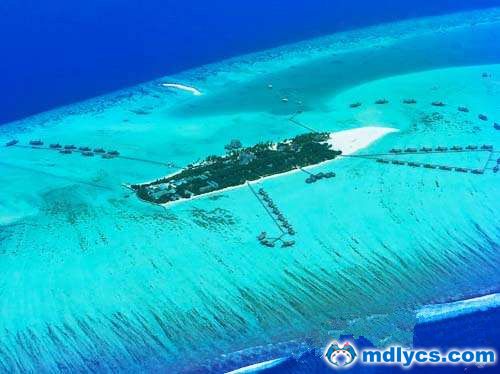 姬丽兰坎芙希岛 Gili Lankanfushi