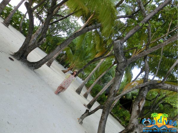 马尔代夫之可可拉岛 Cocoa Island 我们的梦幻之旅